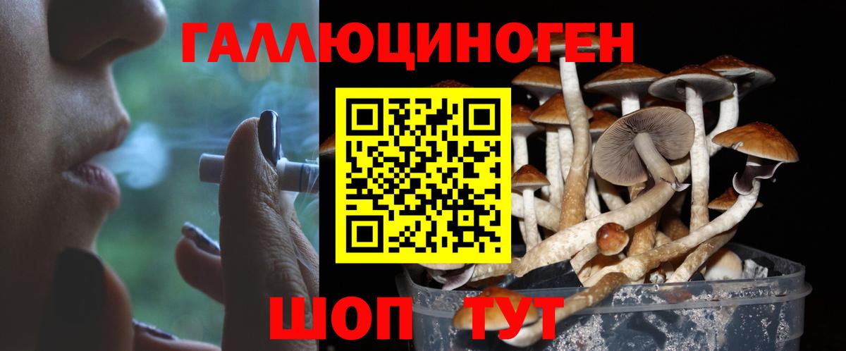 Псилоцибиновые грибы мицелий  Вход с VPN  Псилоцибиновые грибы MAGIC MUSHROOMS  Шадринск 